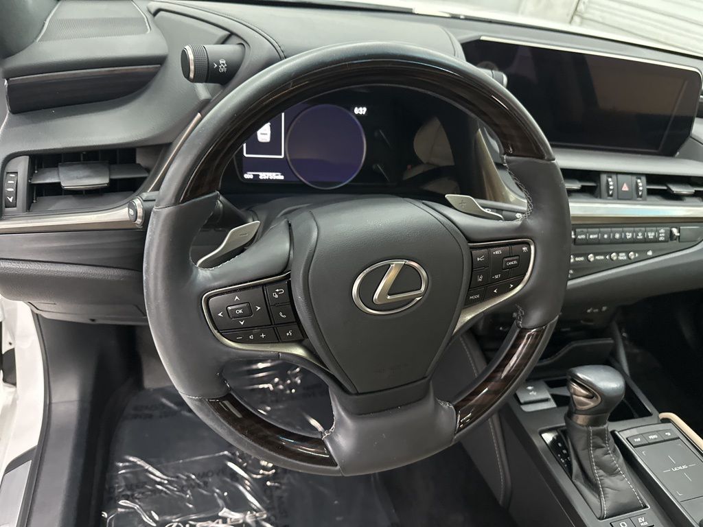 2021 Lexus ES 300h photo 10