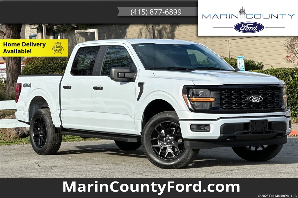 2025 Ford F-150 STX's photo