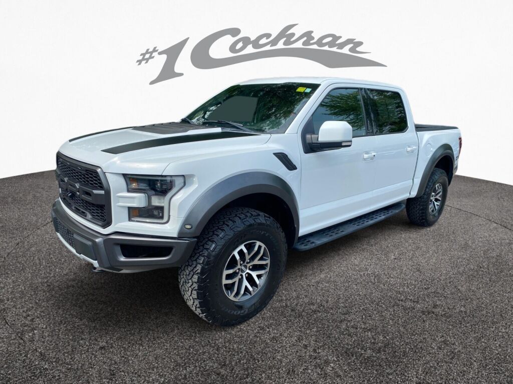 2018 Ford F-150 Raptor photo 3