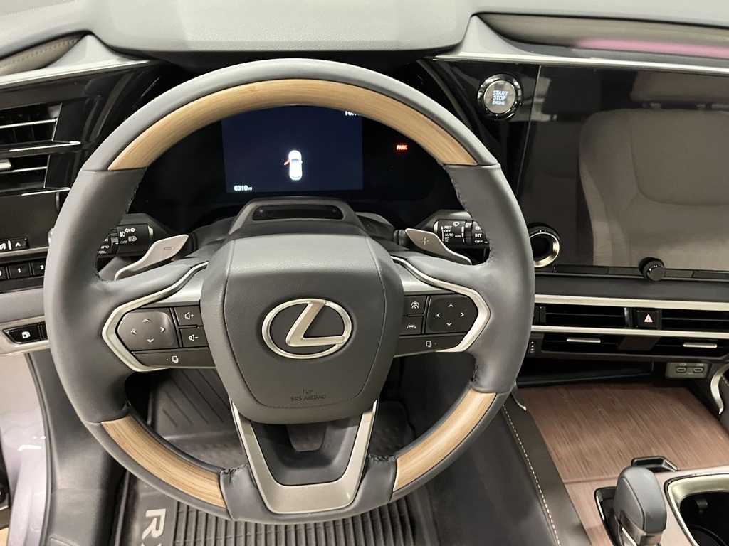 2023 Lexus RX 350 Luxury photo 15