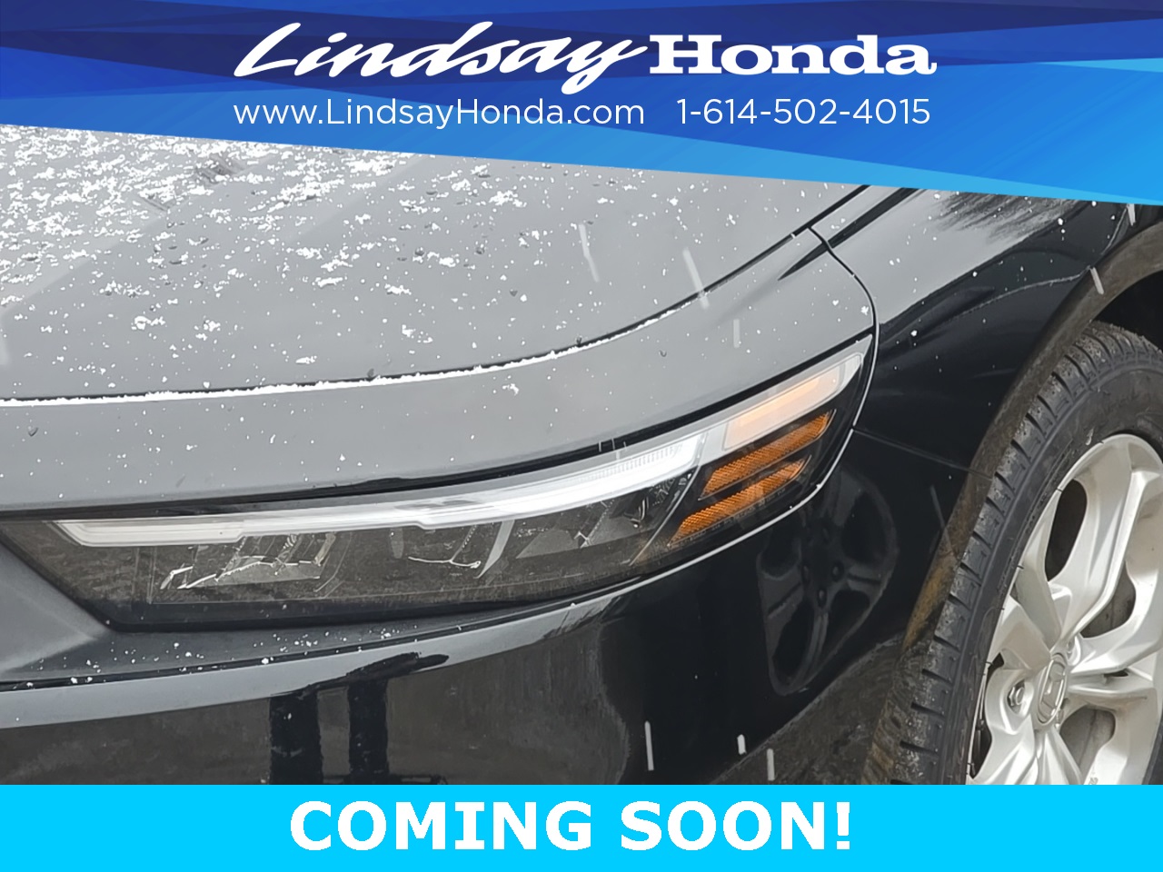 Certified 2023 Honda Accord LX with VIN 1HGCY1F25PA047518 for sale in Northfield, Minnesota