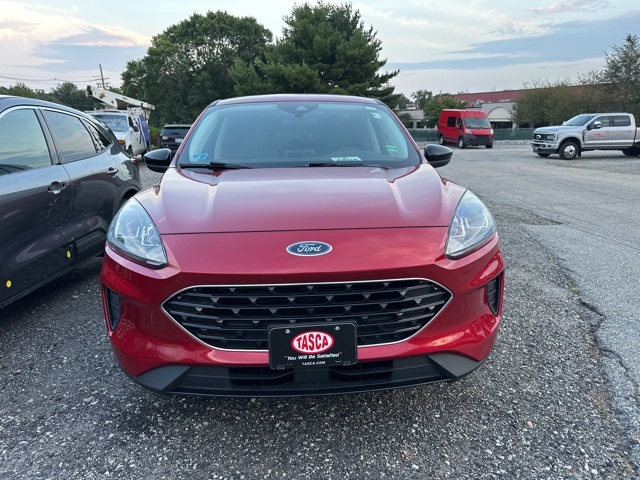 2021 Ford Escape SE photo 2