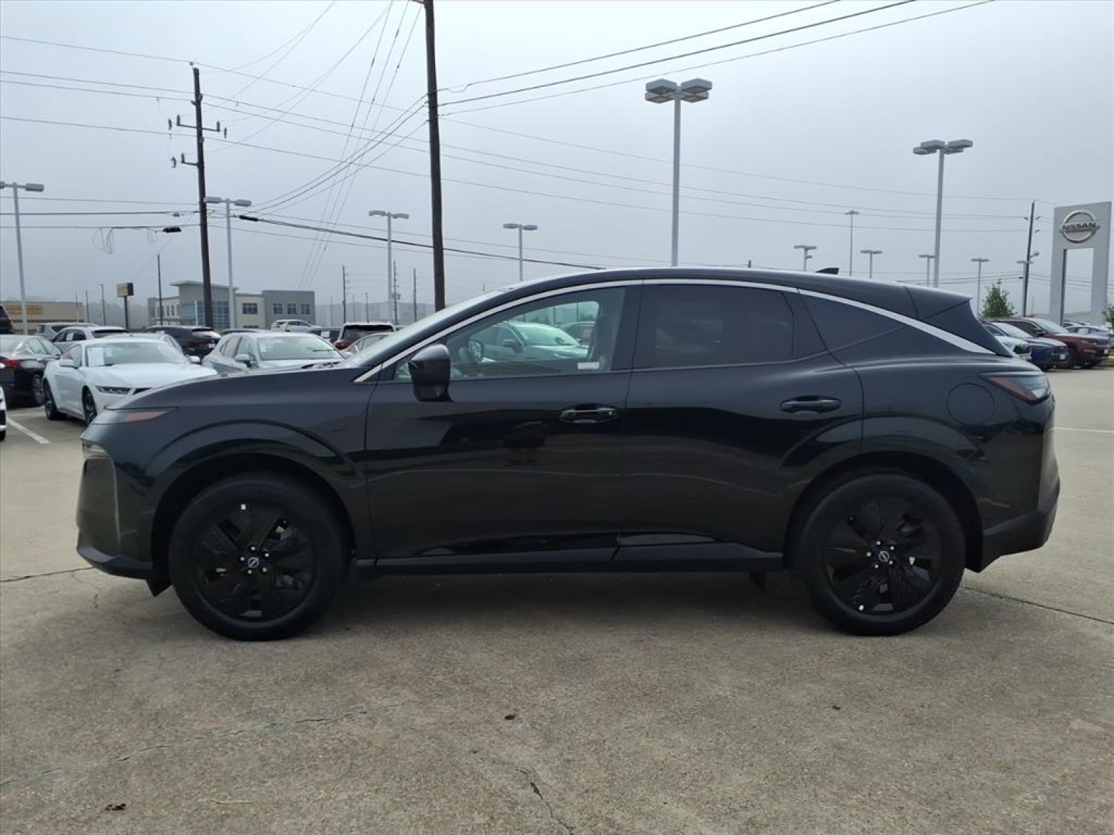 2025 Nissan Murano SV Black at Robbins Nissan