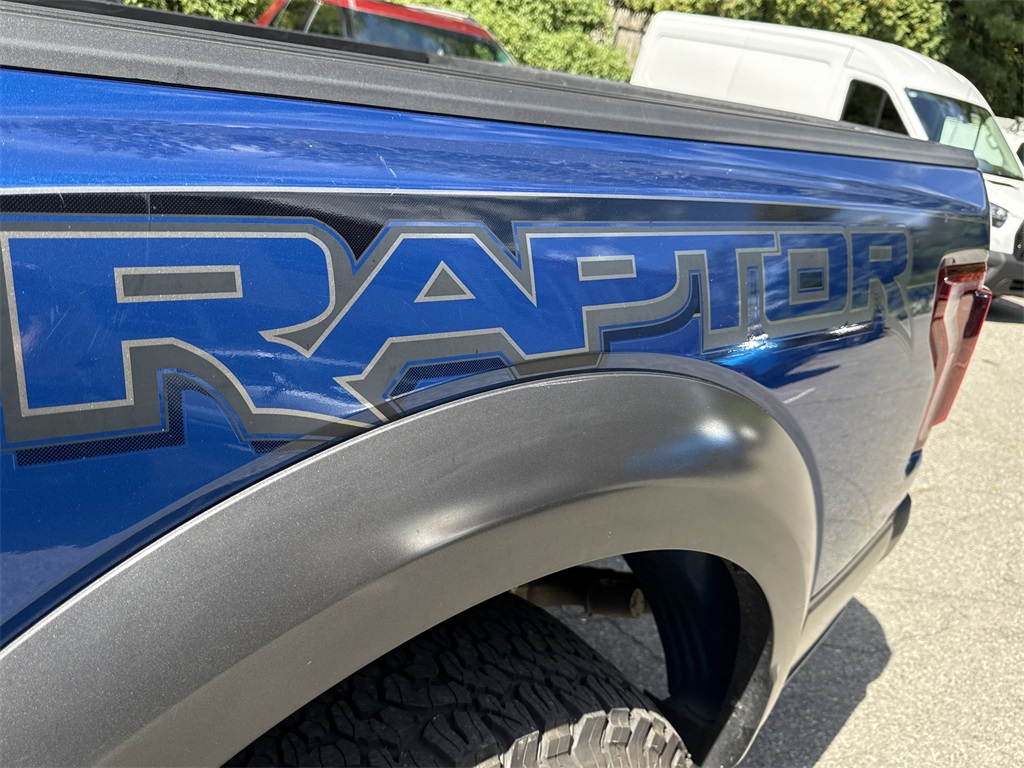 2017 Ford F-150 Raptor photo 35