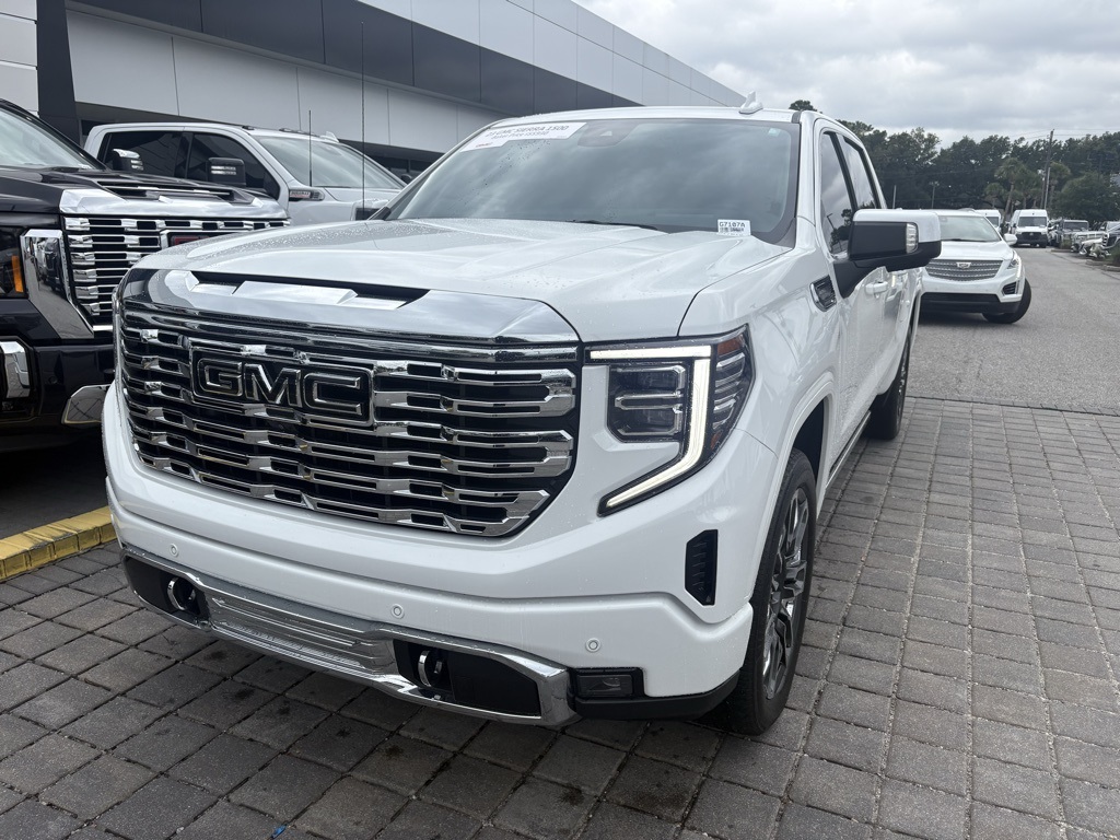 2023 Gmc Sierra 1500 Denali photo 2
