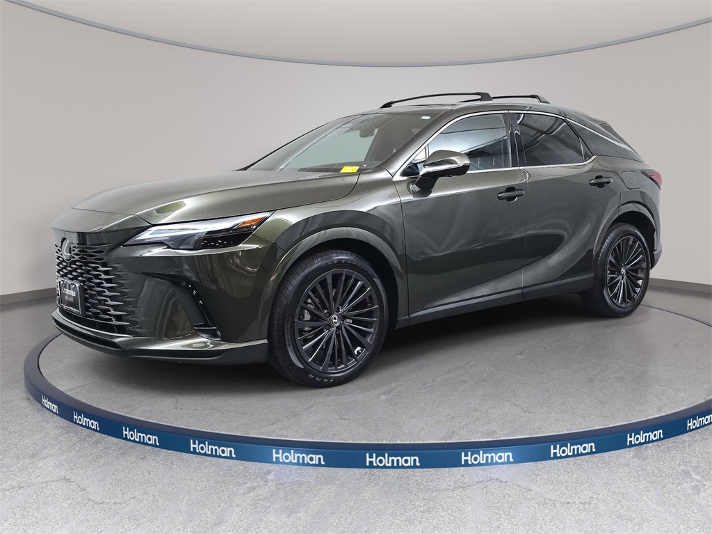 2024 Lexus RX 350's photo