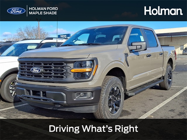 2025 Ford F-150 STX's photo