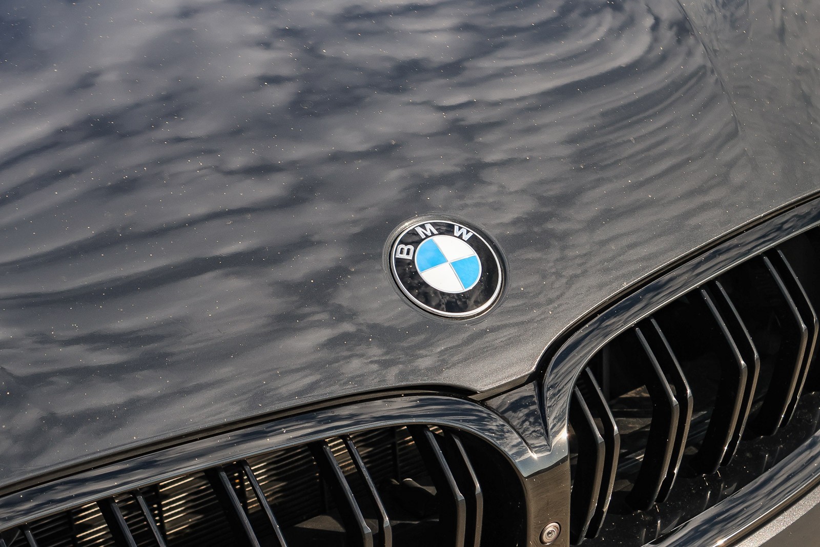 2020 Bmw M8 Competition photo 10