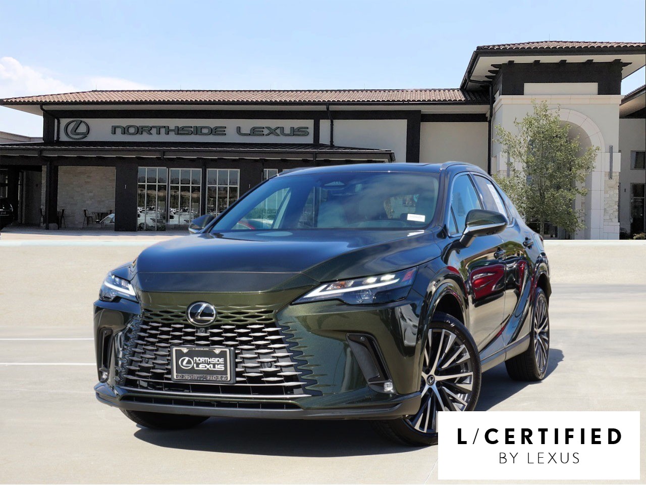 2024 Lexus RX 350's photo