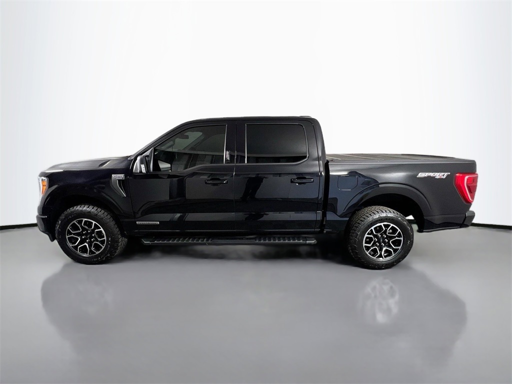 2023 Ford F-150 XLT photo 6