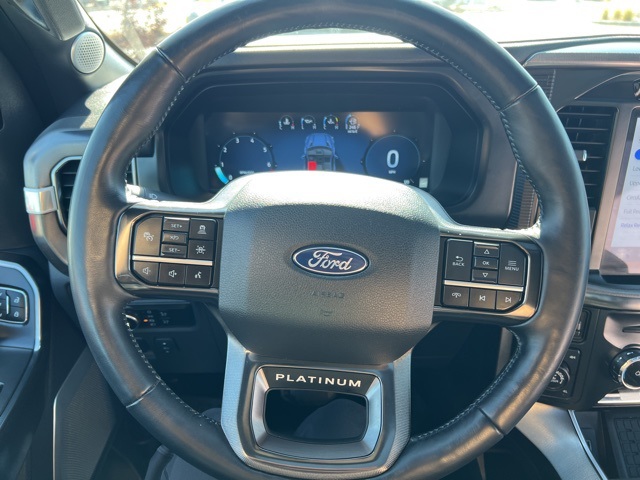 2024 Ford F-150 Platinum photo 13
