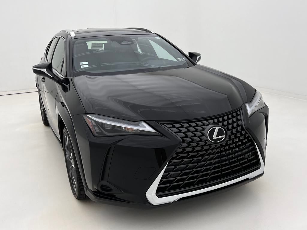 2025 Lexus UX Premium photo 3