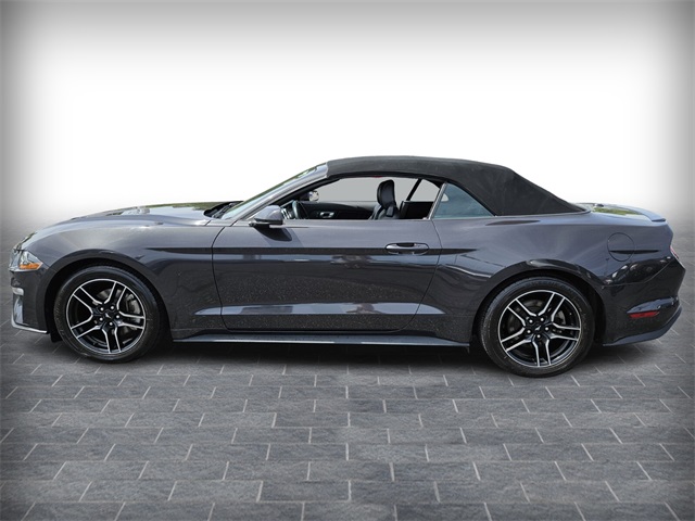 2023 Ford Mustang EcoBoost Premium photo 4