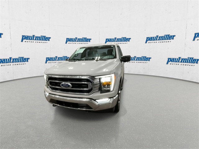 2023 Ford F-150 XLT photo 3