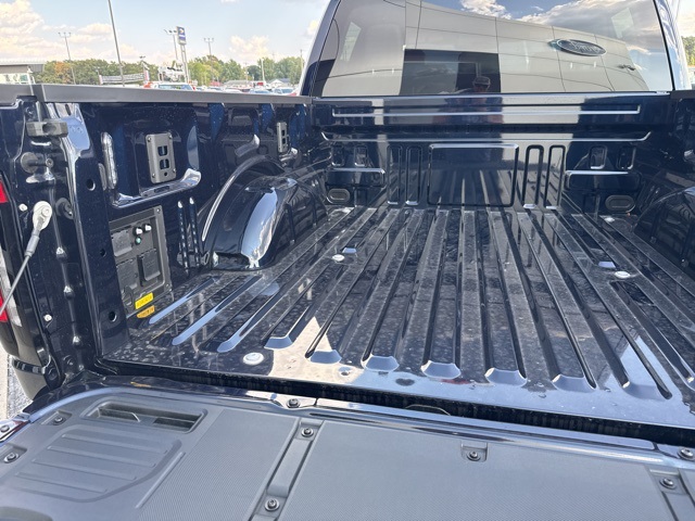 2025 Ford F-150 Lightning photo 34