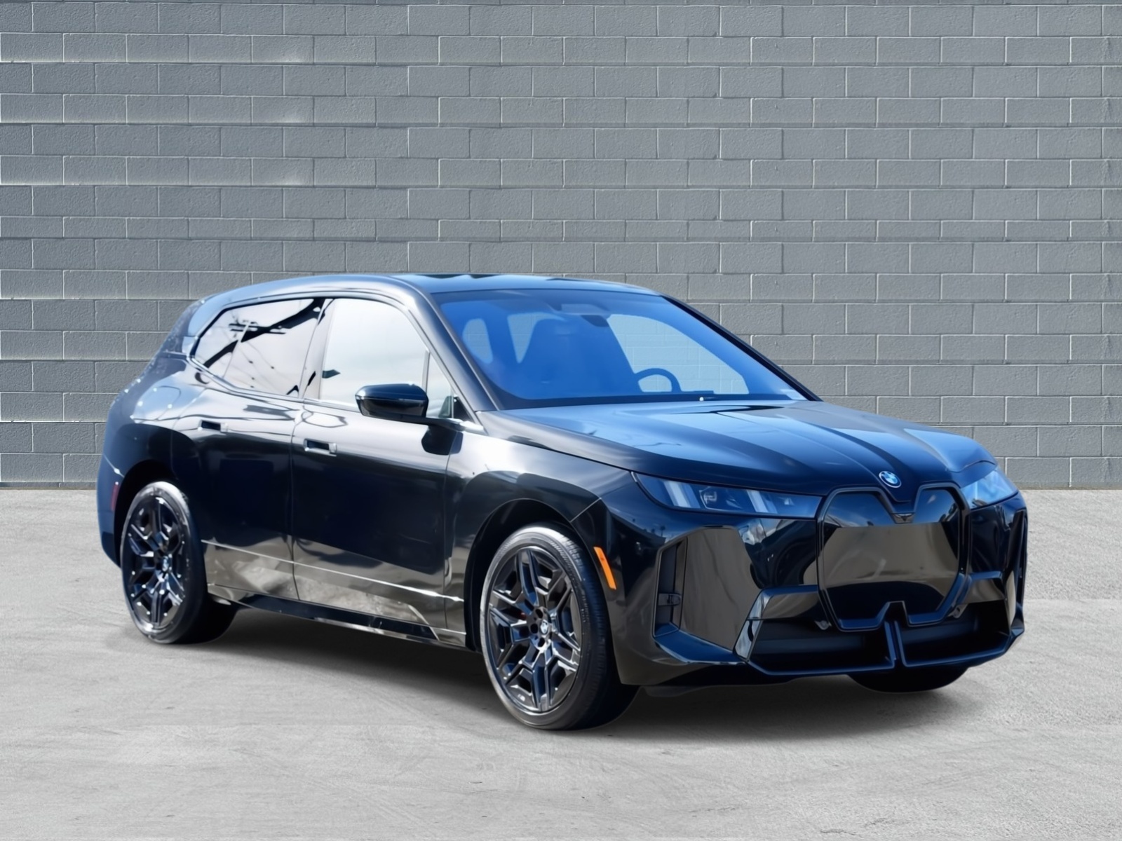 2026 BMW iX 60's photo