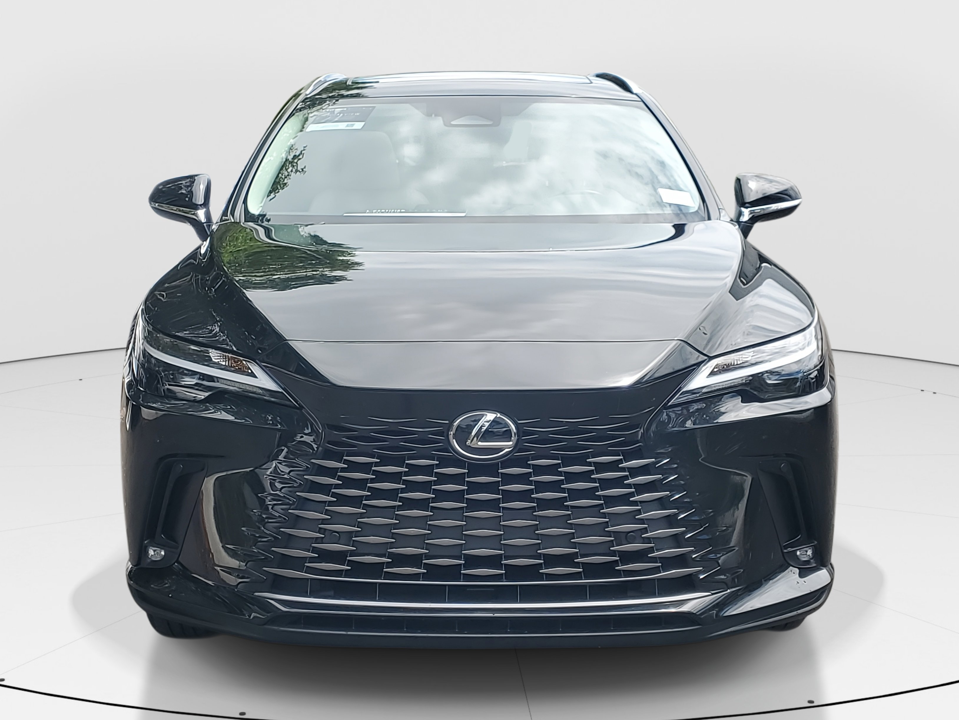 2023 Lexus RX photo 3