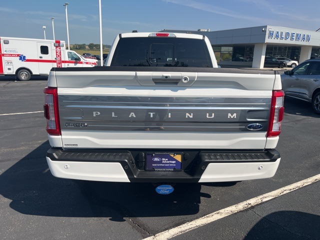 2023 Ford F-150 Platinum photo 6