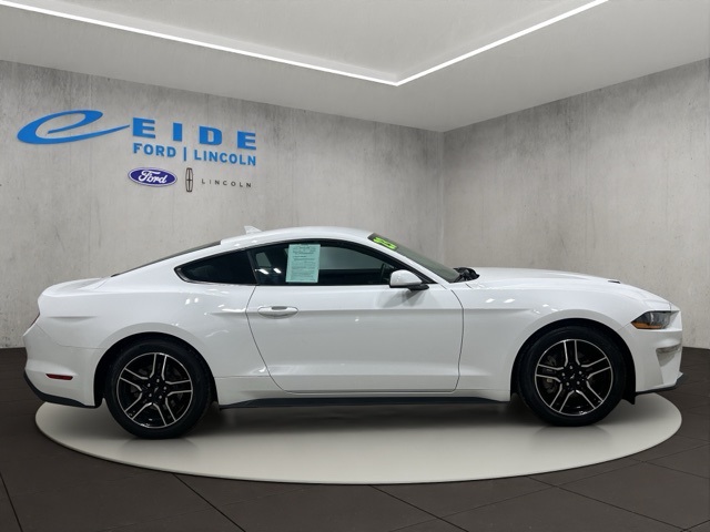 2023 Ford Mustang EcoBoost photo 3
