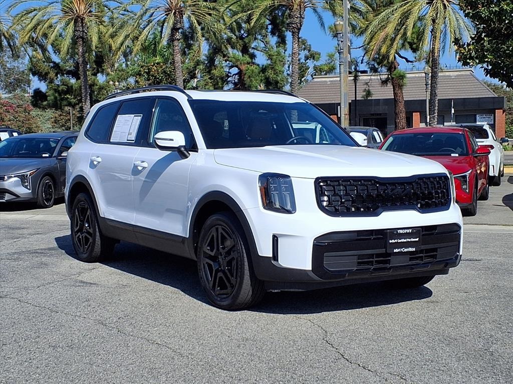 2025 Kia Telluride EX X-Line photo 6