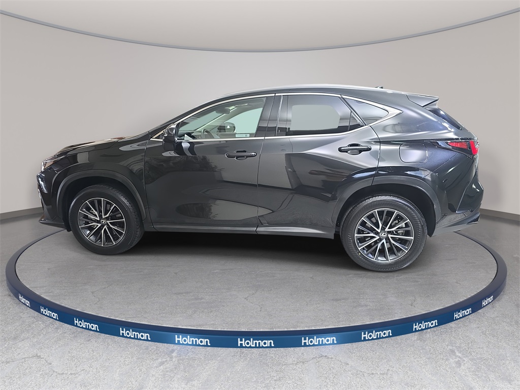 2024 Lexus NX 350h photo 8