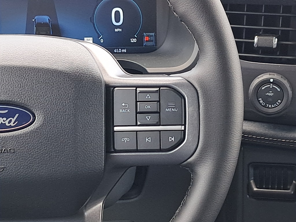 2025 Ford F-150 Lightning photo 13