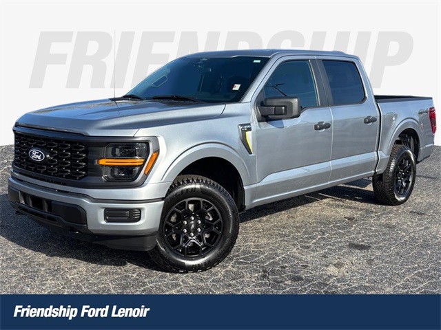 2025 Ford F-150 STX's photo