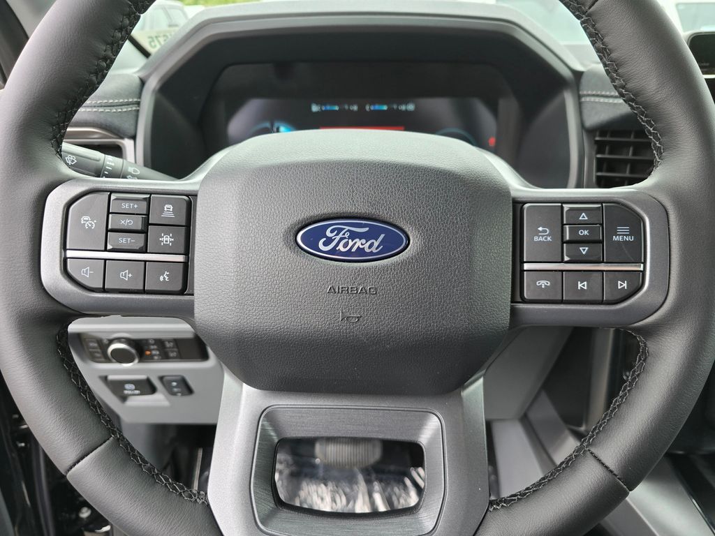 2025 Ford F-150 Lightning photo 16