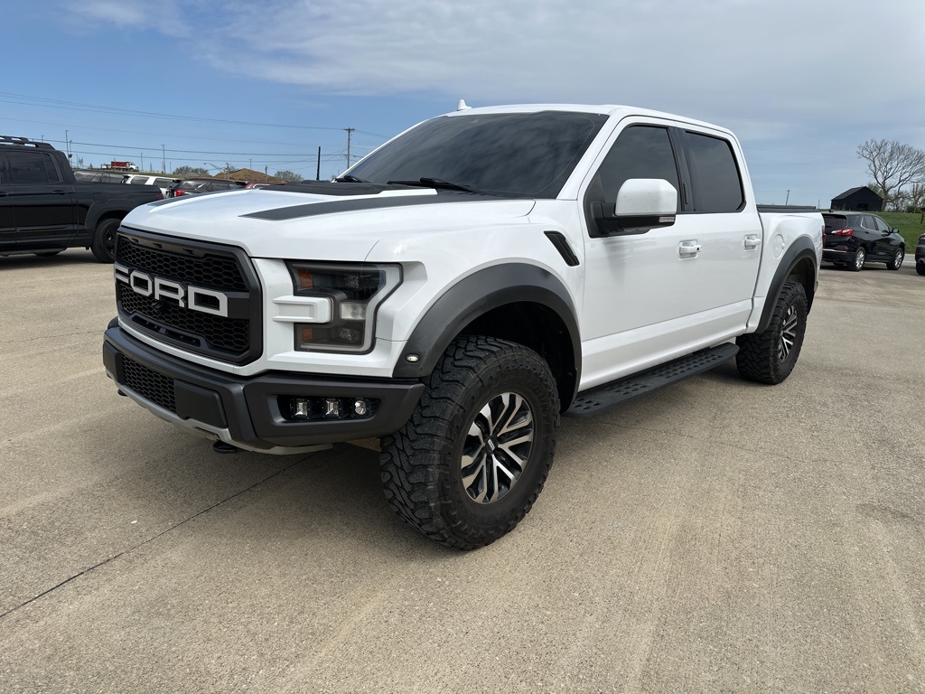 2020 Ford F-150 Raptor photo 6