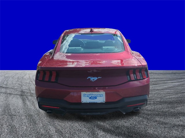 2025 Ford Mustang EcoBoost photo 5