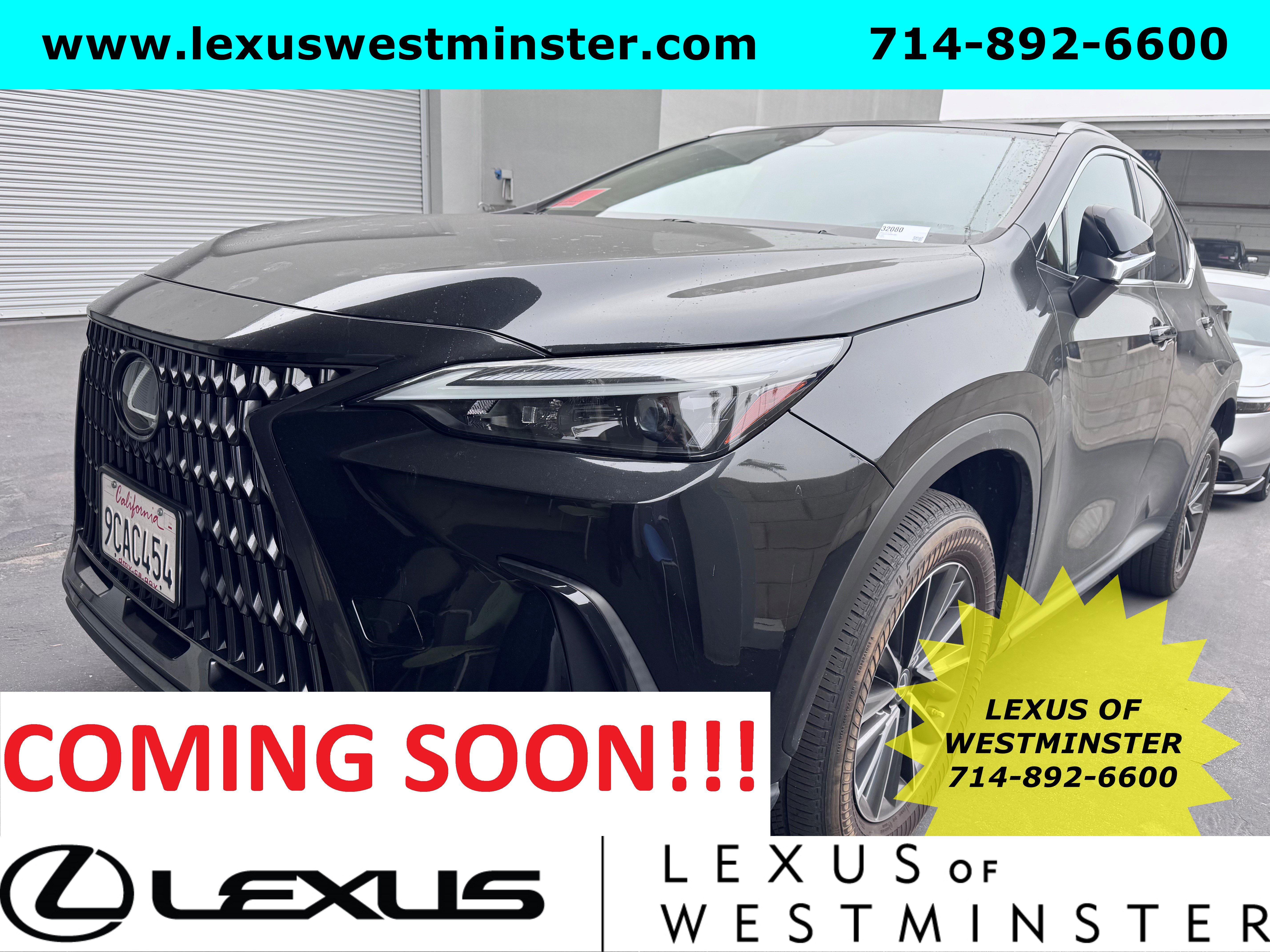 2022 Lexus NX 250's photo