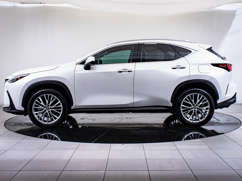 2024 Lexus NX 350 Luxury AWD photo 5