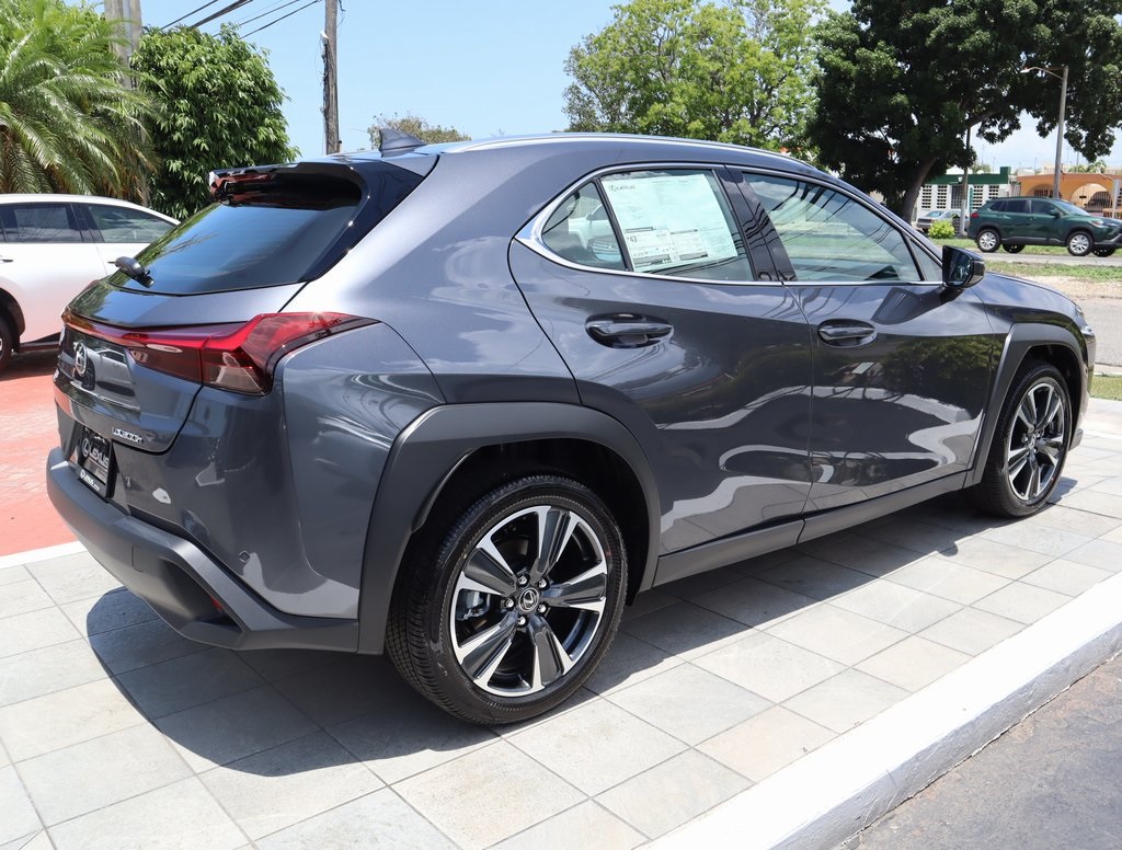 2025 Lexus UX photo 5