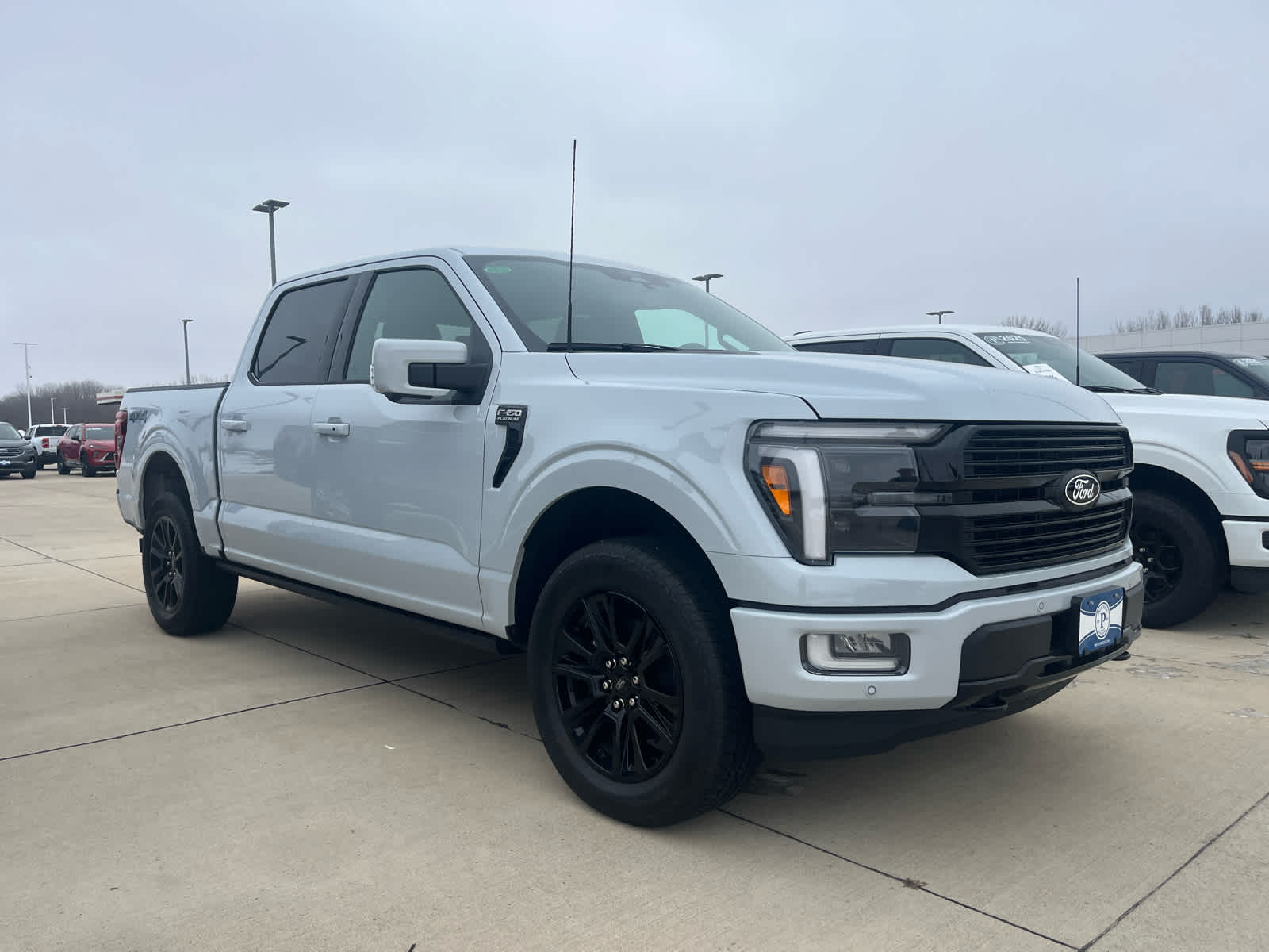 2025 Ford F-150 Platinum's photo