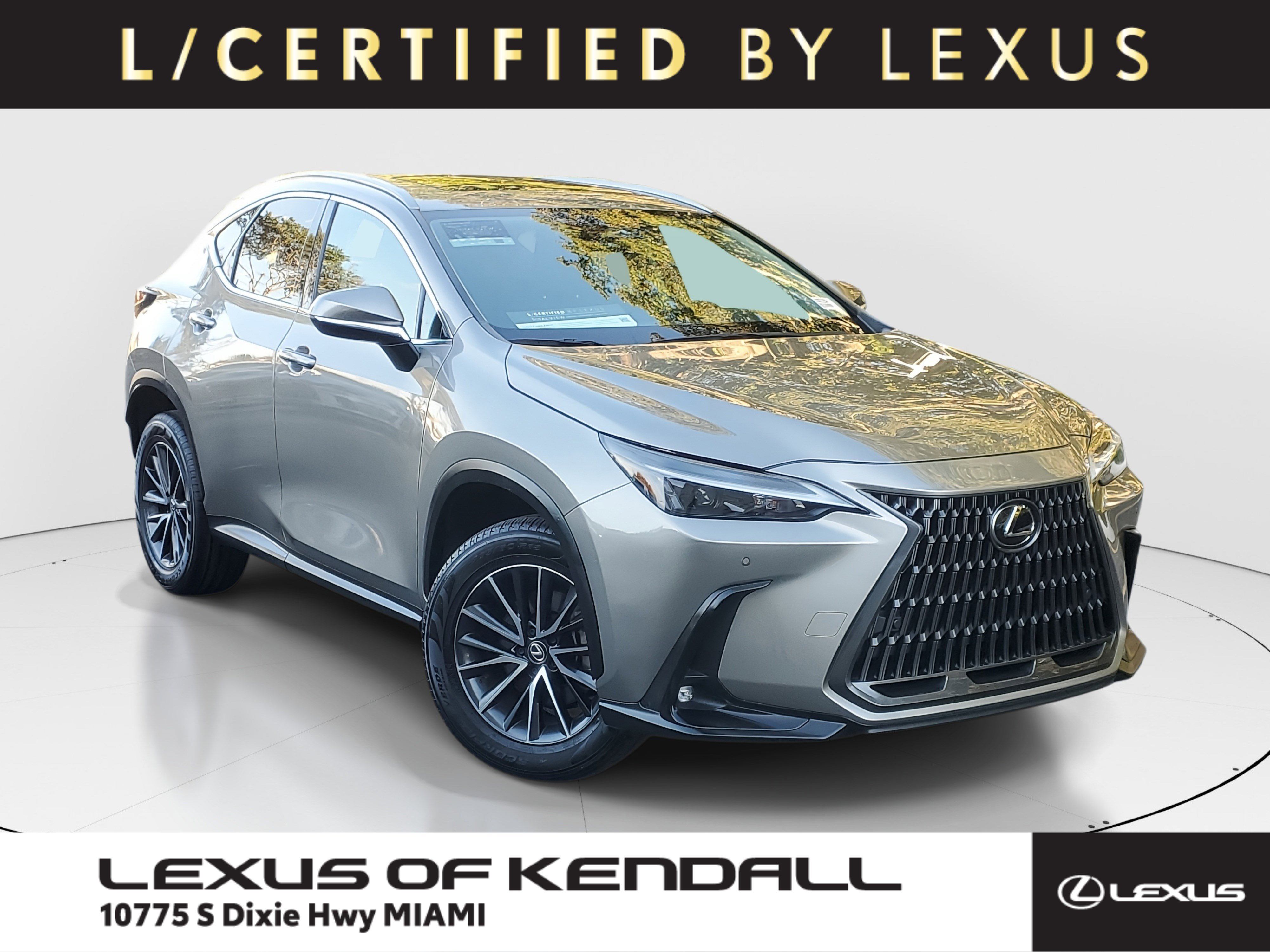 2024 Lexus NX 250's photo