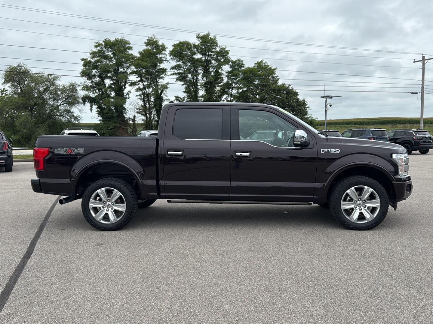 2020 Ford F-150 Platinum photo 4