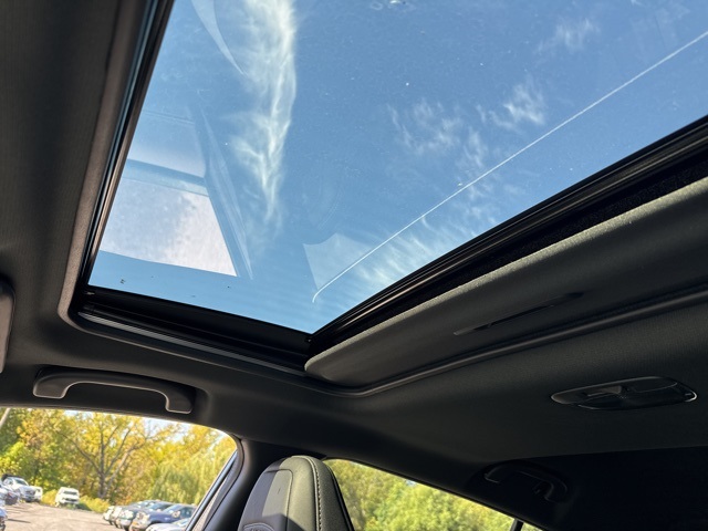 2025 Subaru Crosstrek Wilderness photo 13