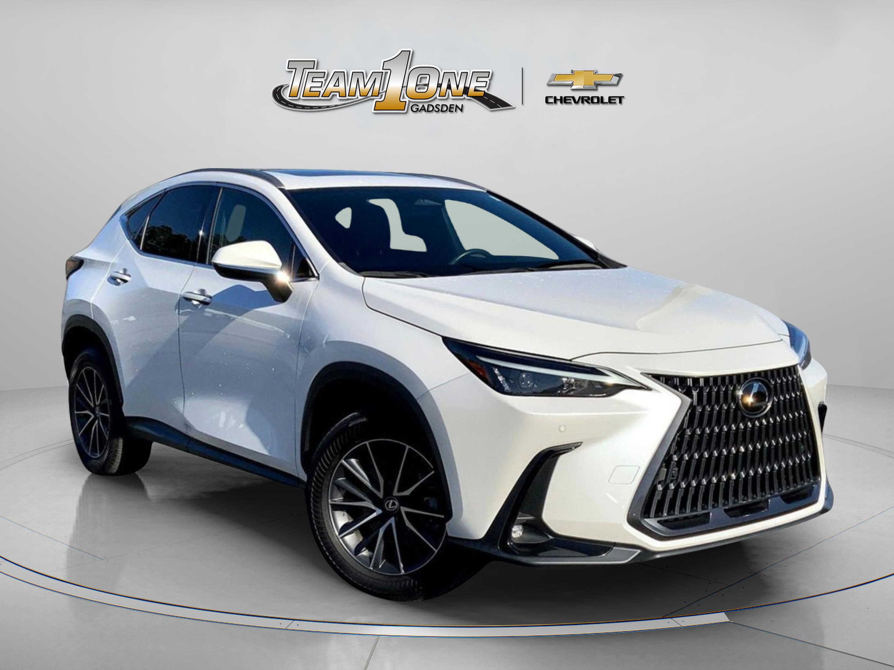 2024 Lexus NX 250's photo