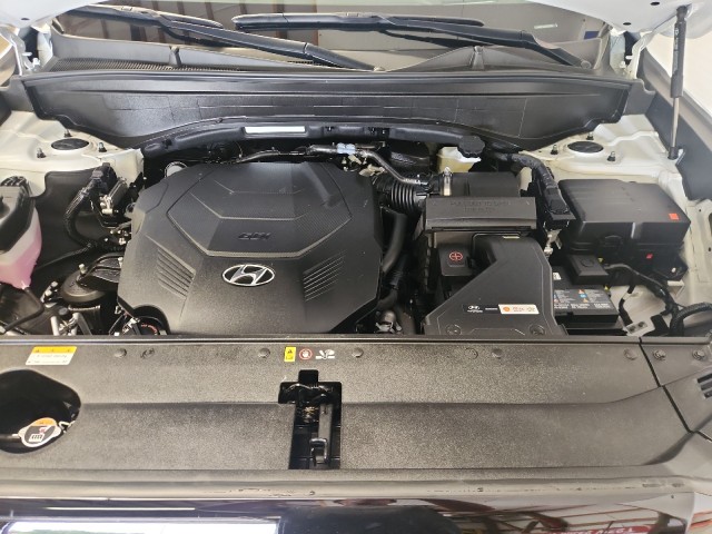 2025 Hyundai Palisade Calligraphy photo 6