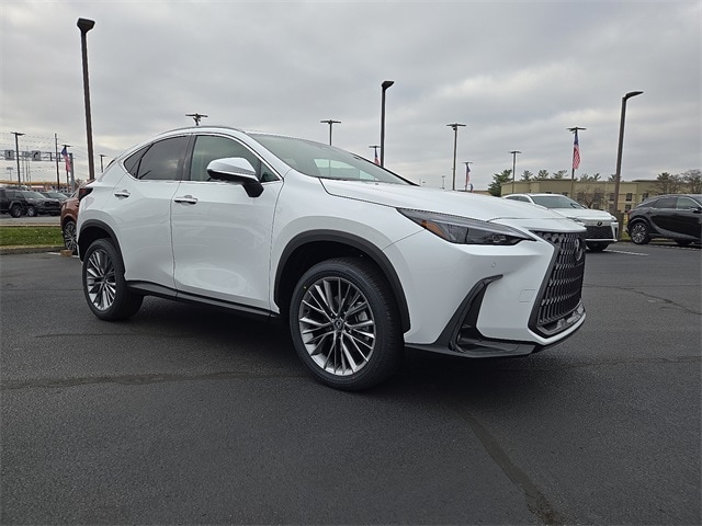 2026 Lexus NX 350's photo