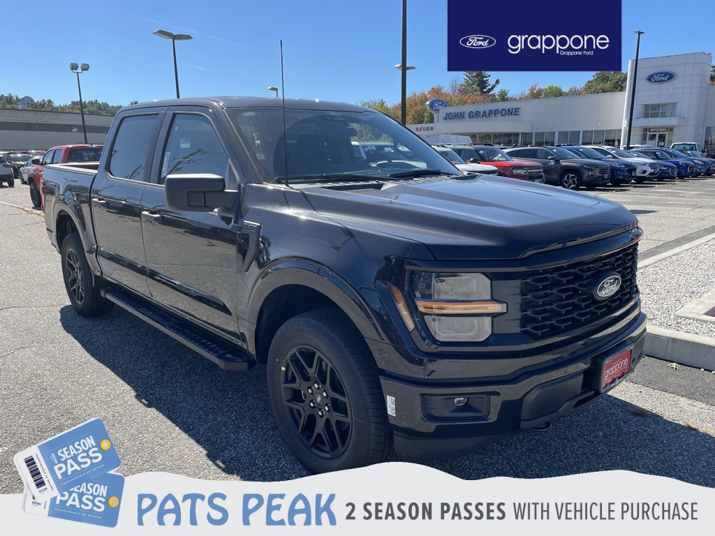 2025 Ford F-150 STX's photo