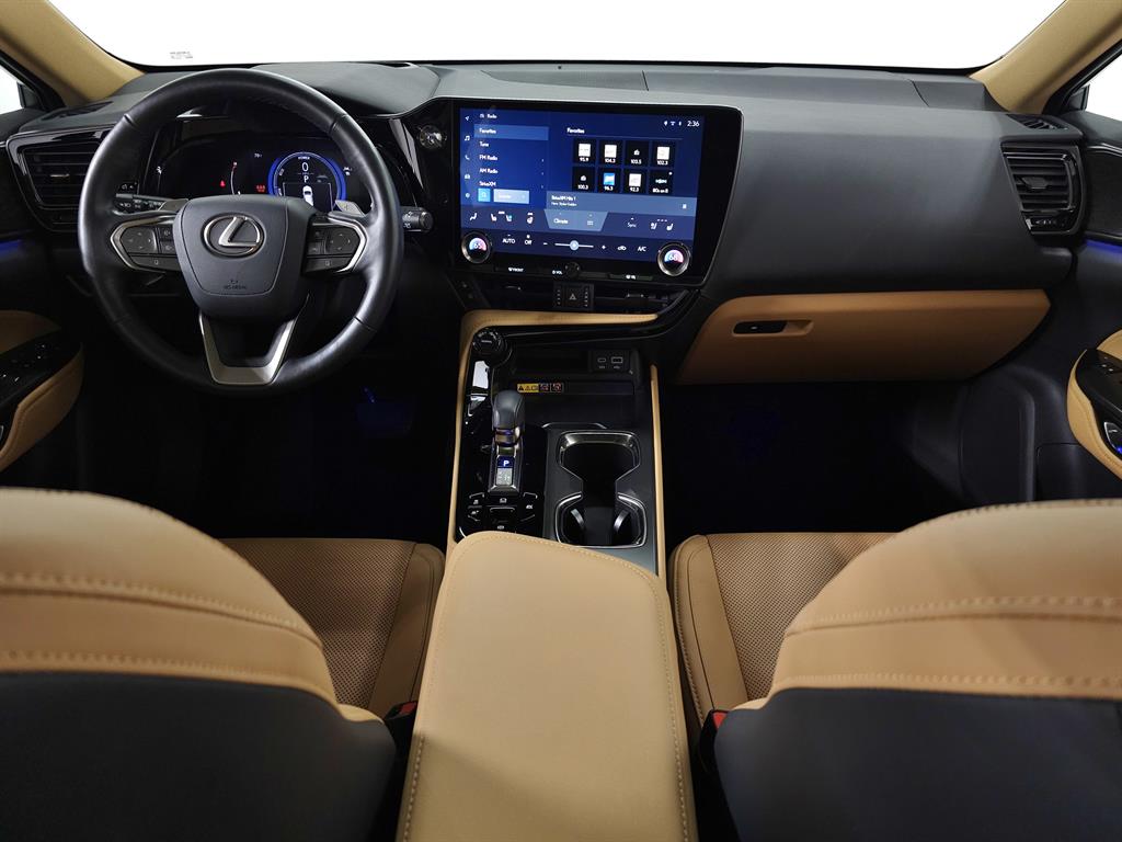 2025 Lexus NX 350h Luxury photo 12