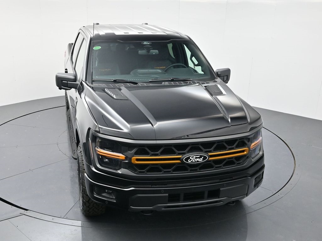 2025 Ford F-150 Tremor photo 38