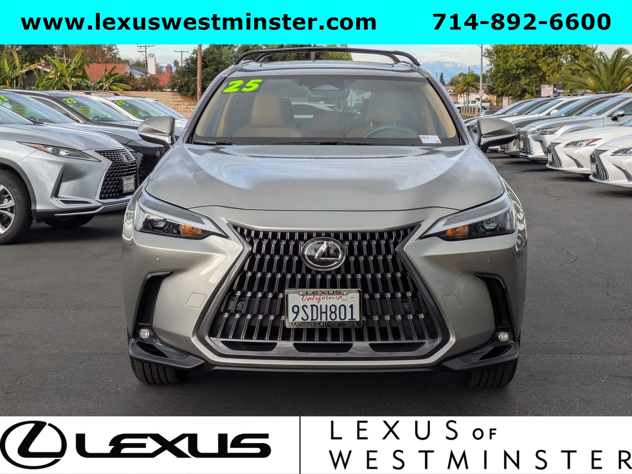 2025 Lexus NX 250 Premium photo 2