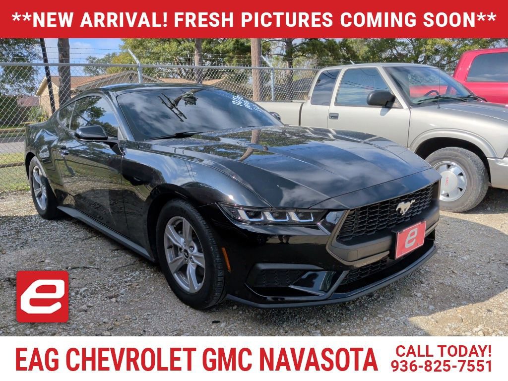 2024 Ford Mustang EcoBoost's photo