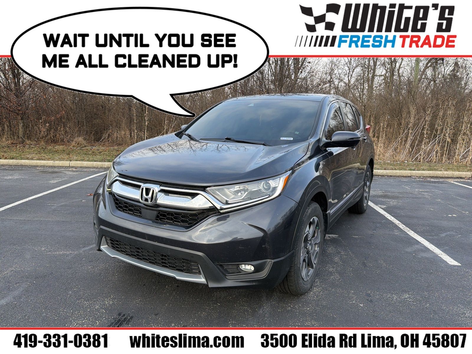 2019 Honda CR-V EX-L's photo