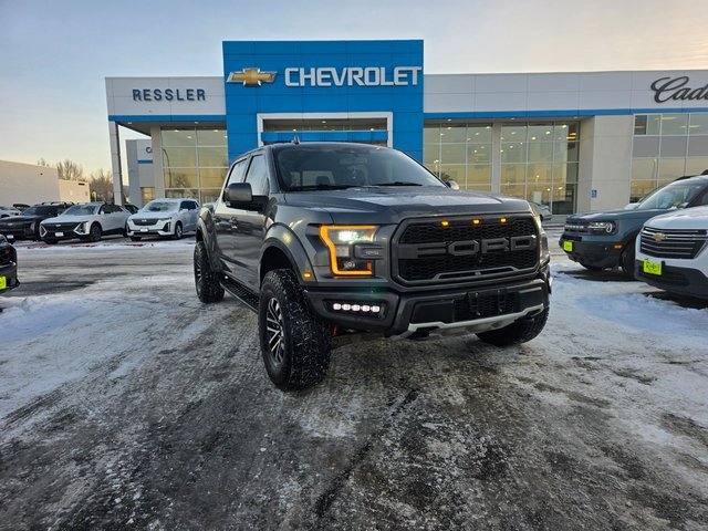 2019 Ford F-150 Raptor's photo