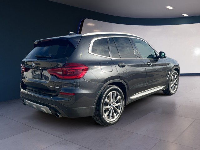 2019 Bmw X3 xDrive30i photo 5
