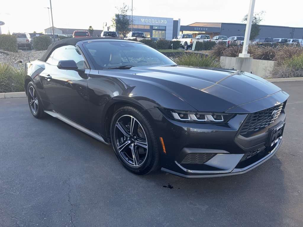 2024 Ford Mustang EcoBoost Premium photo 2