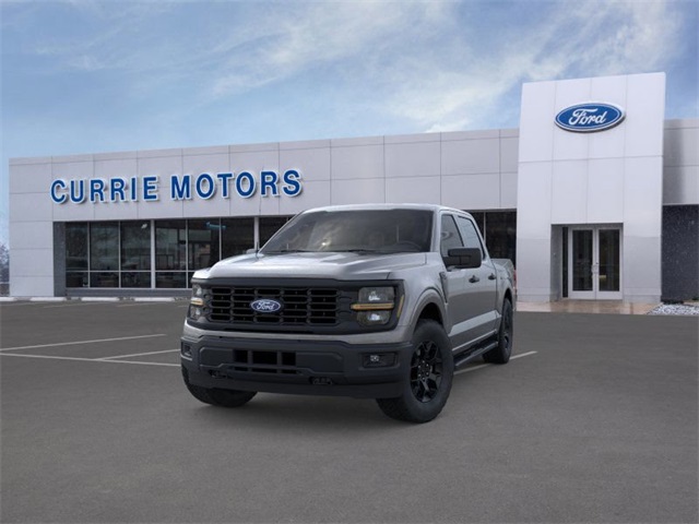 2025 FORD F-150 - Image 24